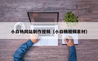 新乡小白杨网站制作视频（小白杨视频素材）