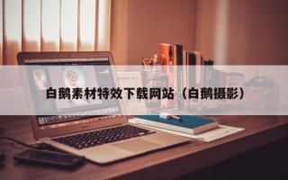 新乡白鹅素材特效下载网站（白鹅摄影）